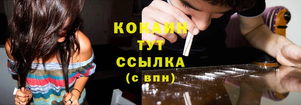 соль ск Алексин