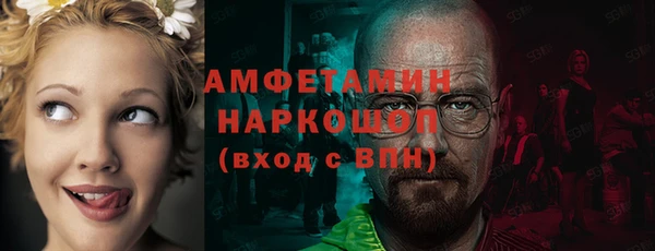 индика Осинники