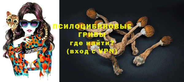 гидра Алексеевка