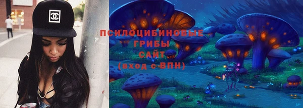 гидра Алексеевка
