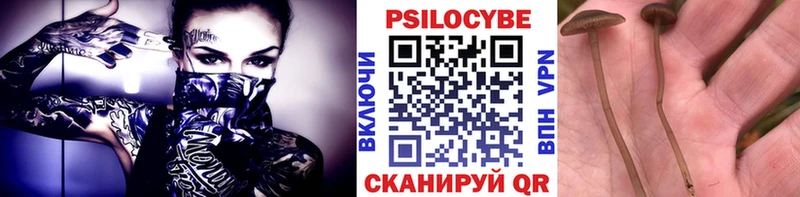 мориарти какой сайт  Покачи  Галлюциногенные грибы мицелий 