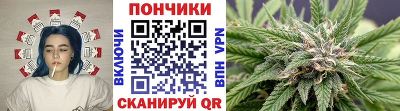 Шишки марихуана ГИДРОПОН  Покачи 
